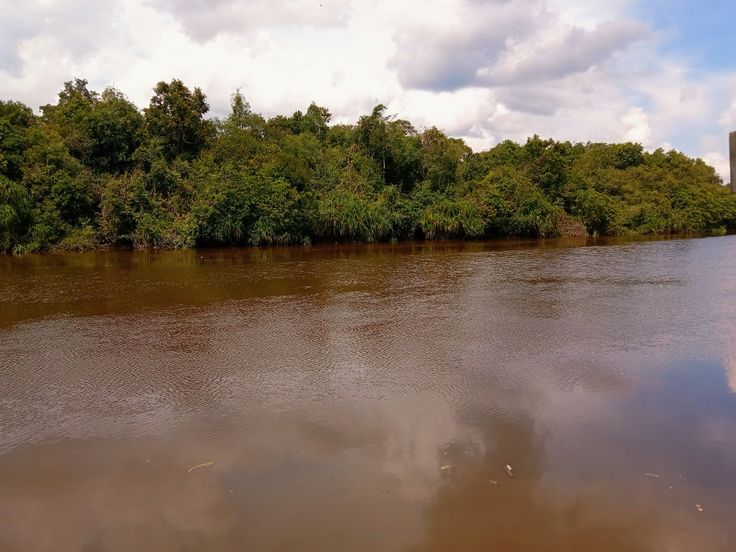 Sungai Sudah Kehilangan Riaknya