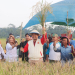Ekonomi Bukit Pariaman Tumbuh dari Sawah, Infrastruktur dan UMKM Digenjot