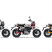 Honda Monkey Tampil dengan 3 Warna Baru, AHM Perkuat Karakter Motor Hobi Premium